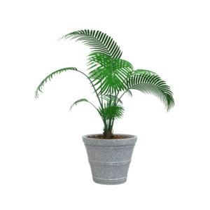 MACETA CLÁSICA CÓNICA TIUM CC43