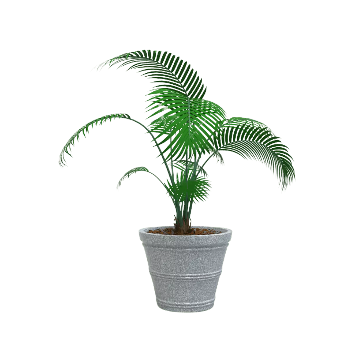 MACETA CLÁSICA CÓNICA TIUM CC43