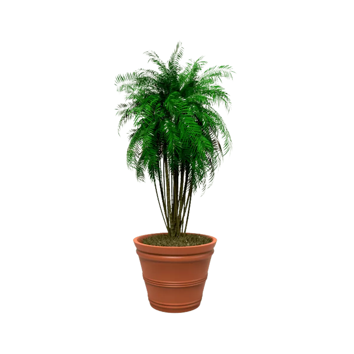 Maceta clásica cónica TIUM CC52