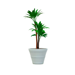 MACETA CLÁSICA CÓNICA TIUM CC61