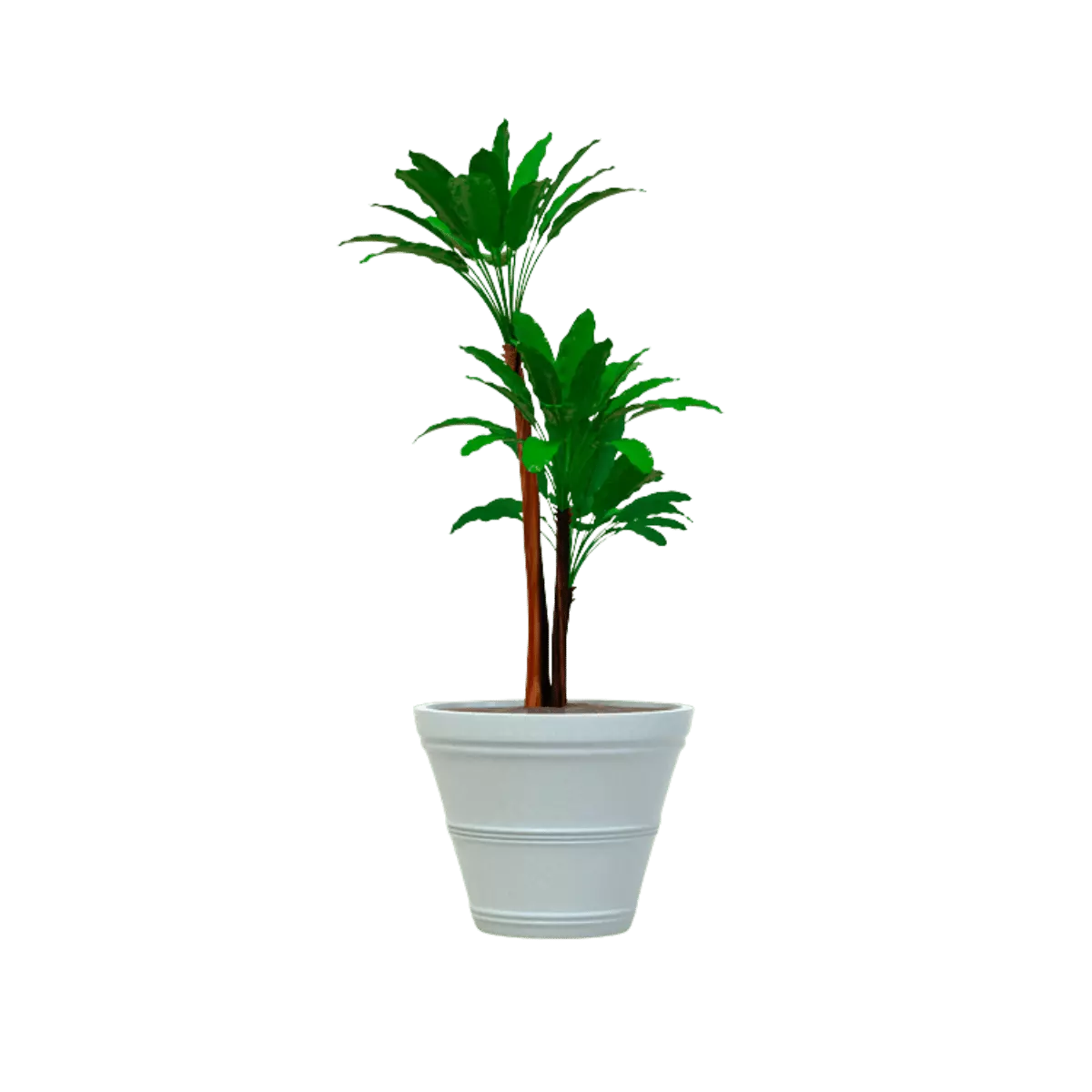 MACETA CLÁSICA CÓNICA TIUM CC61