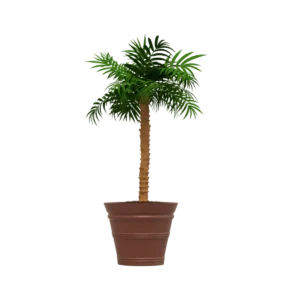 Maceta Clásica Cónica TIUM CC81