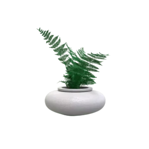 MACETA CLÁSICA DE OLLA