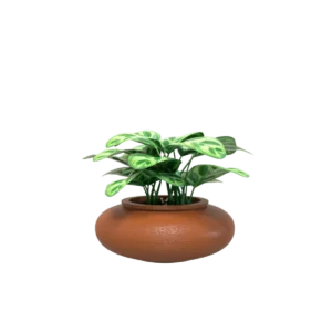 MACETA CLÁSICA DE OLLA TIUM-CO18