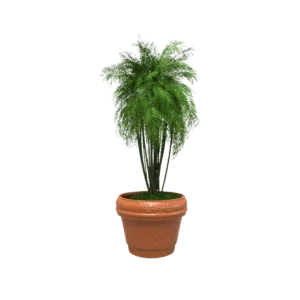 MACETA CLÁSICA ROMANA TIUM-CR31