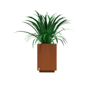 Hidromacetero cuadrado