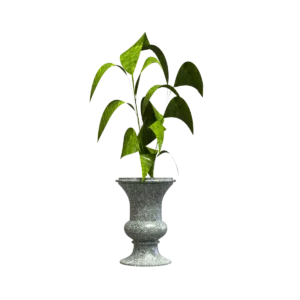 MACETA CLÁSICA DE URNA