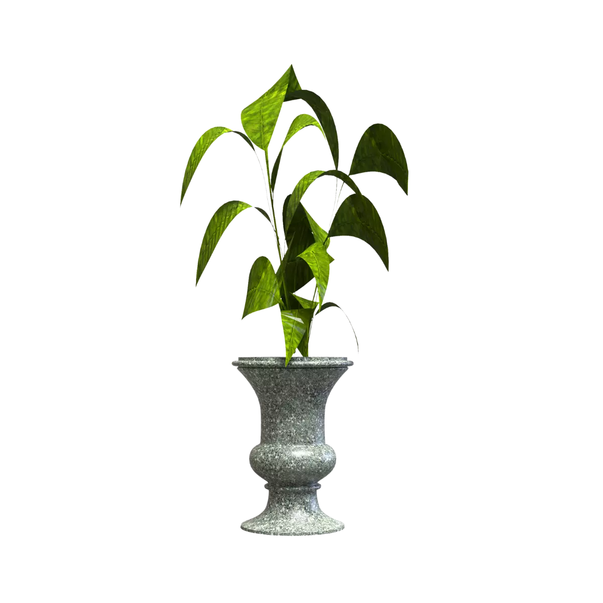 MACETA CLÁSICA DE URNA