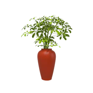 MACETA TIPO JARRON TIUM-TJ76