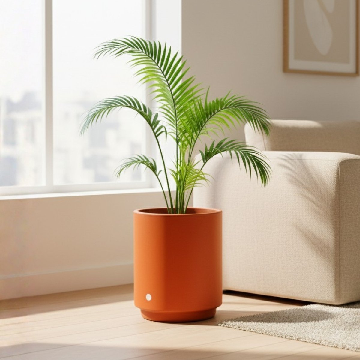 Hidromacetero Circular - Imagen 2