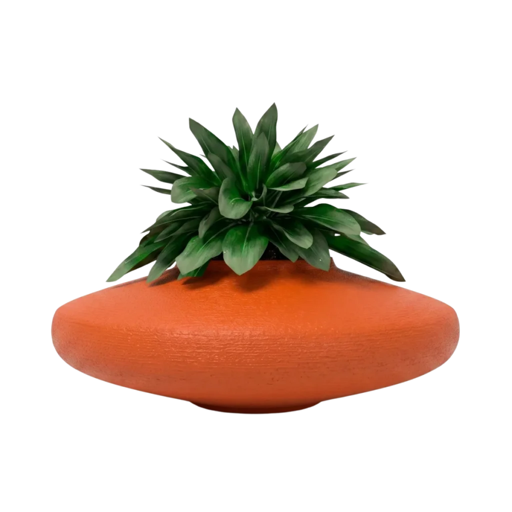 Macetas bonsai