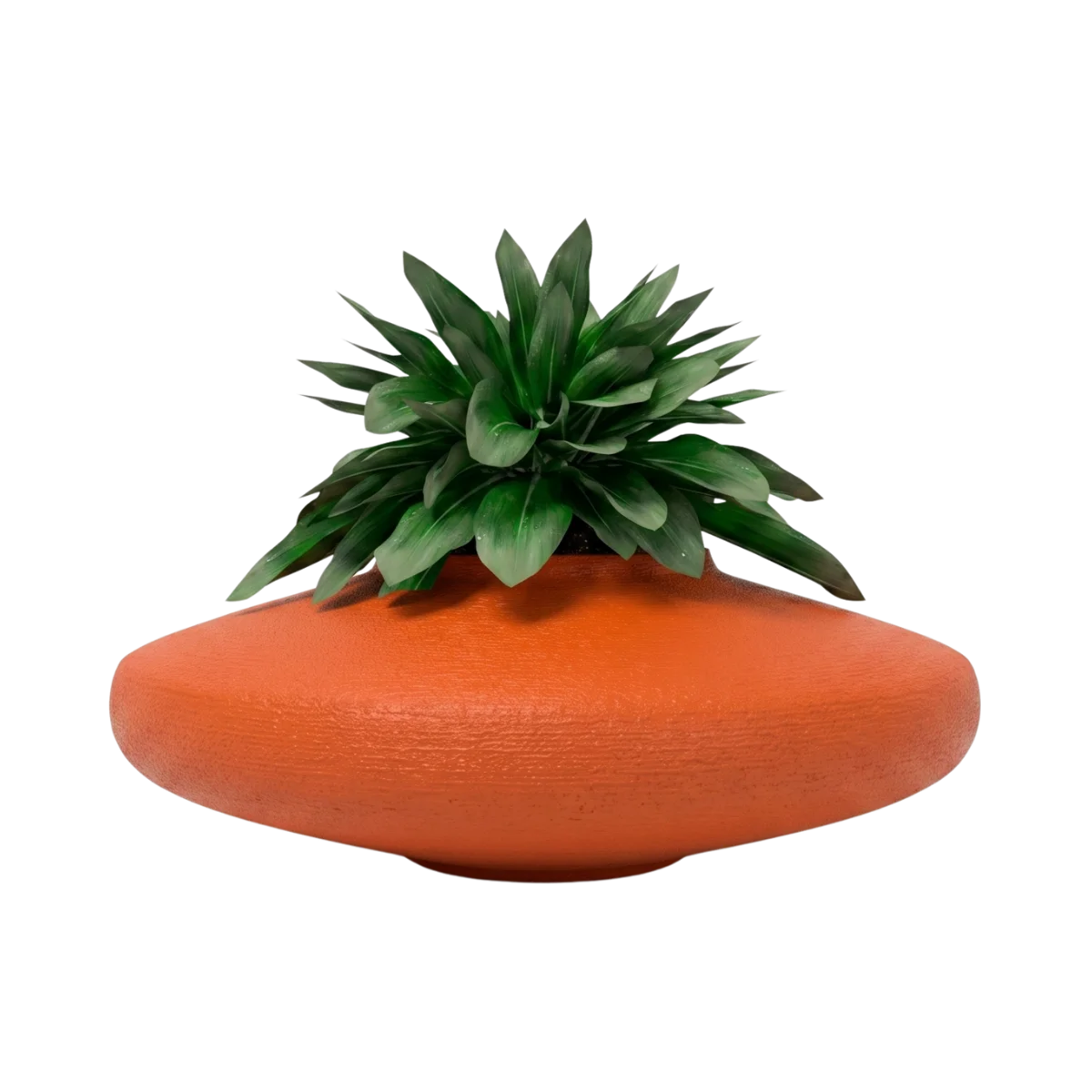 Macetas bonsai
